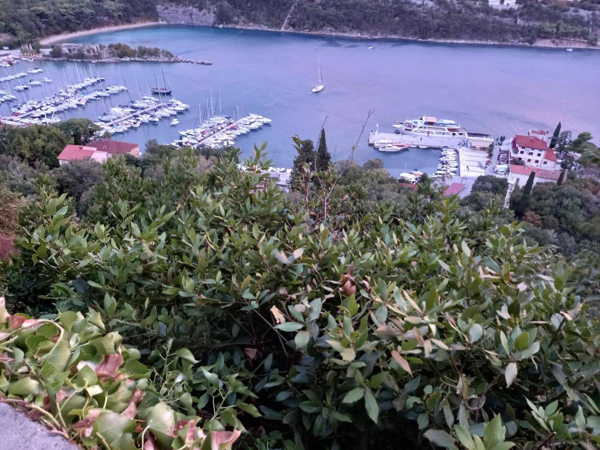 Apartament D,apartman Omišalj