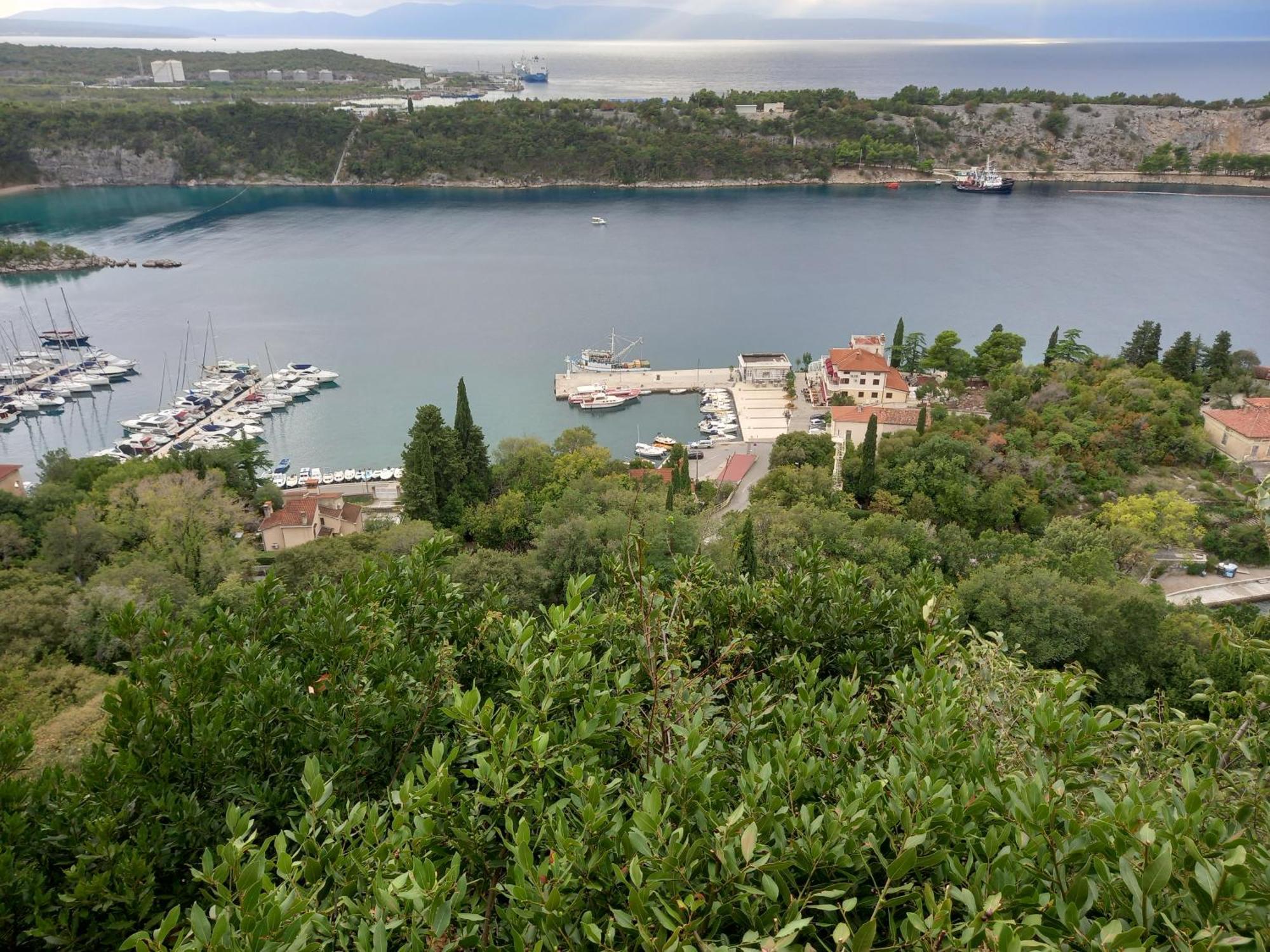 D,apartman * Omišalj