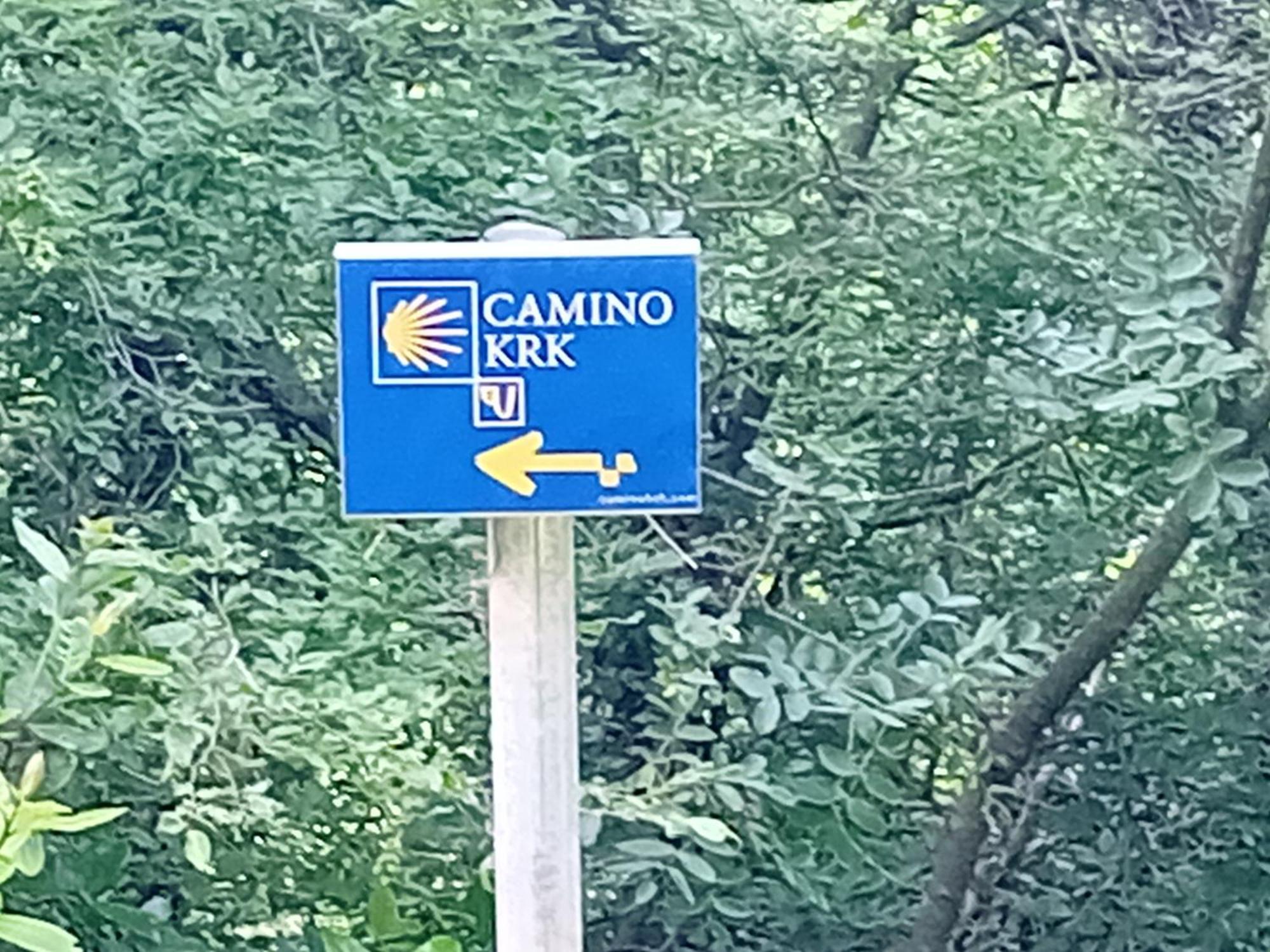 Apartament D,apartman